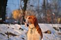 091220 olga